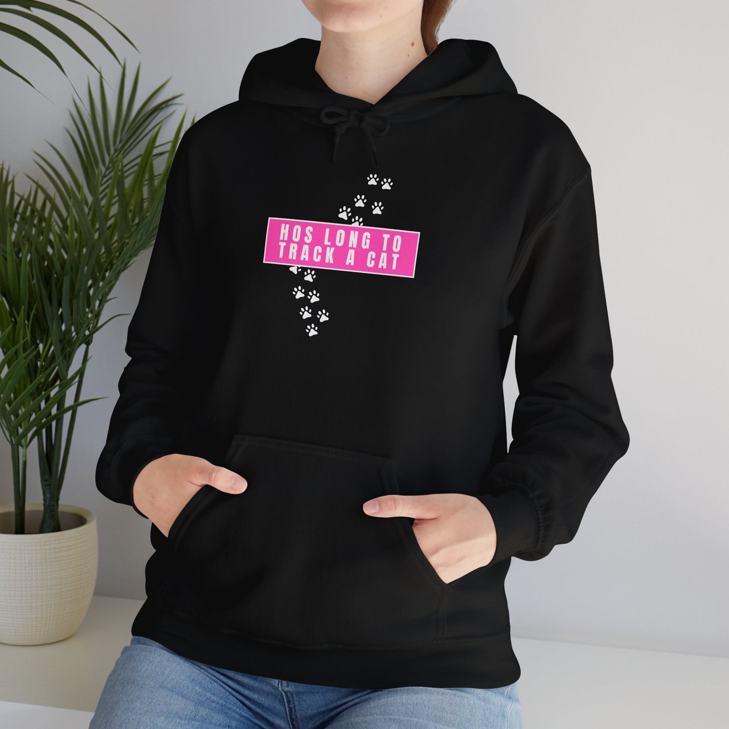 Free Karen Read "Hos Long to Track a Cat" Hooded Sweatshirt