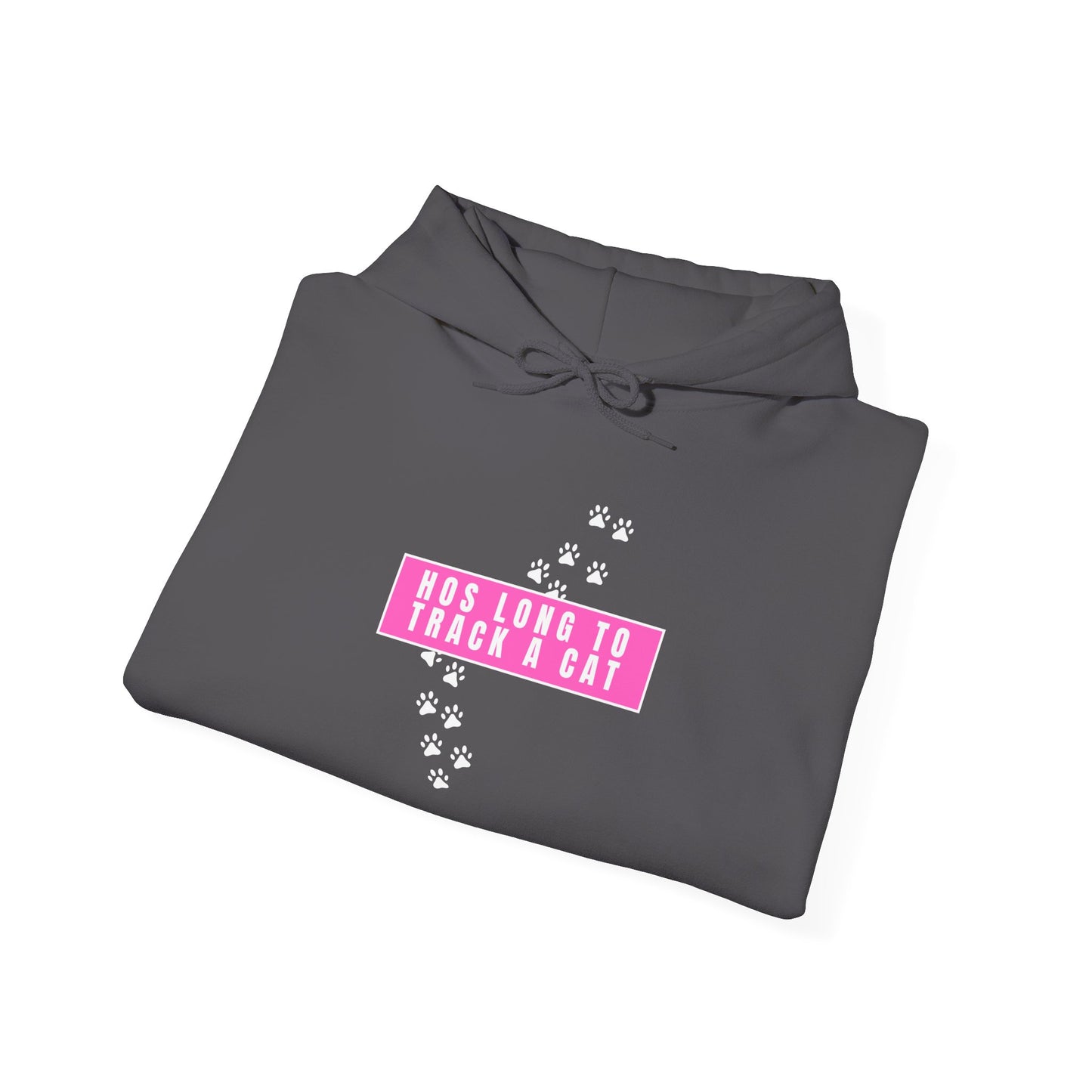 Free Karen Read "Hos Long to Track a Cat" Hooded Sweatshirt