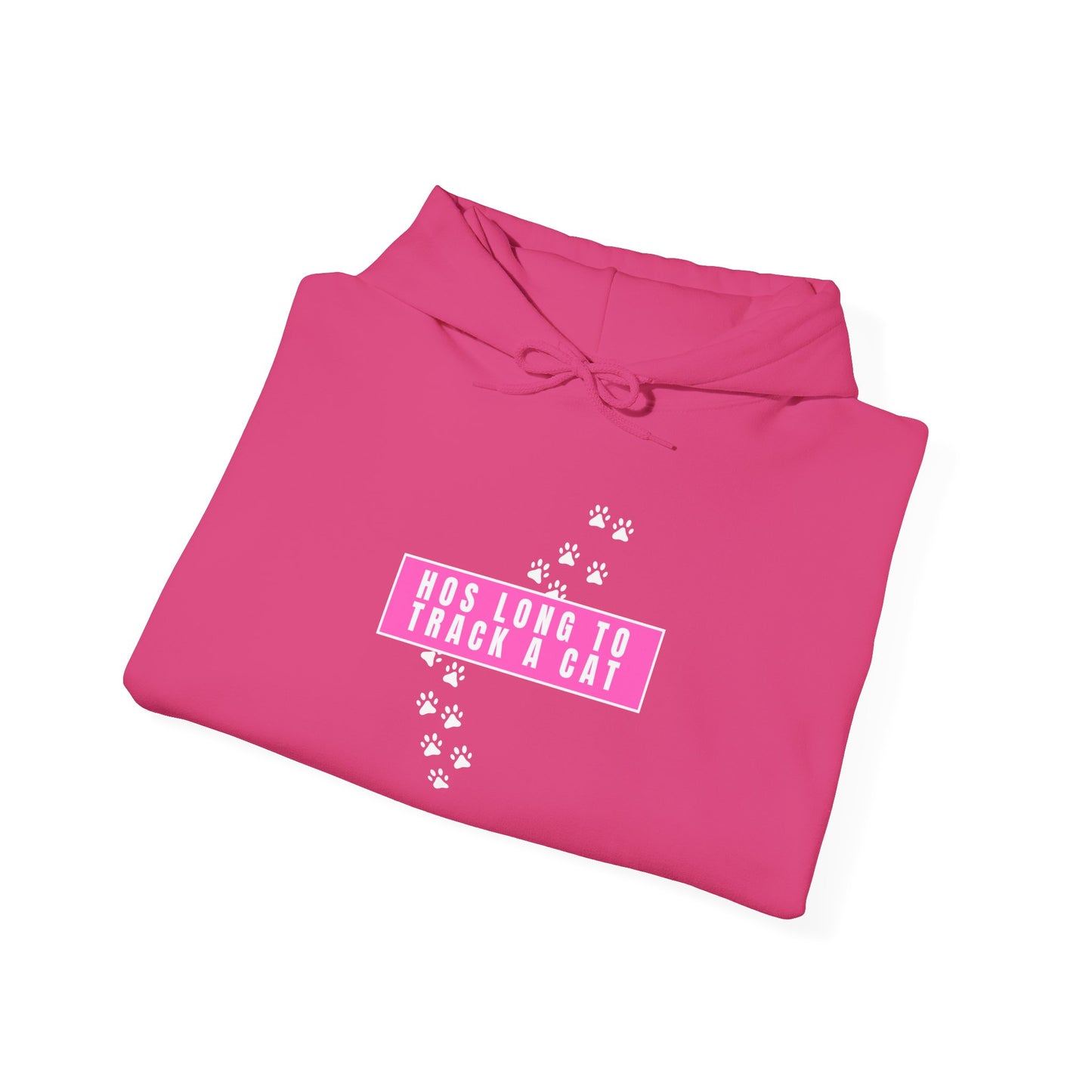 Free Karen Read "Hos Long to Track a Cat" Hooded Sweatshirt