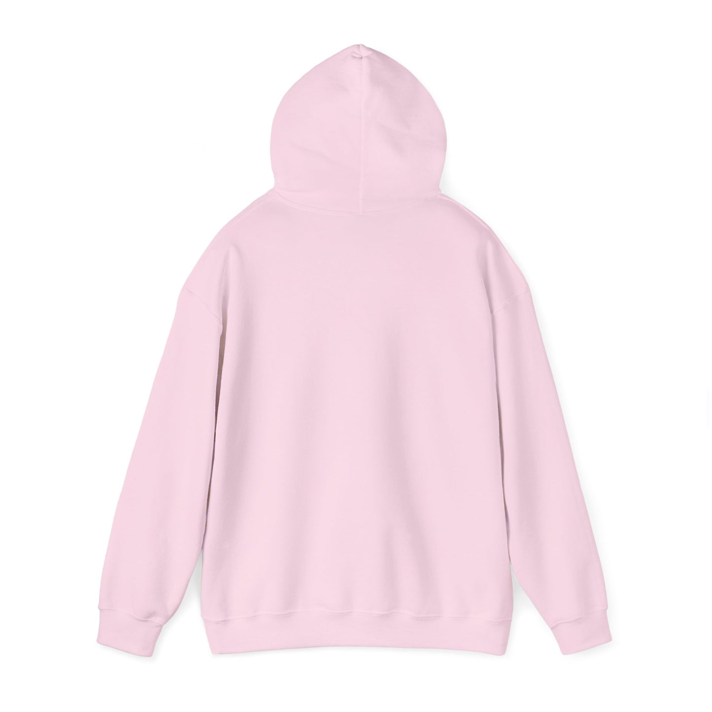 Free Karen Read "Hos Long to Track a Cat" Hooded Sweatshirt
