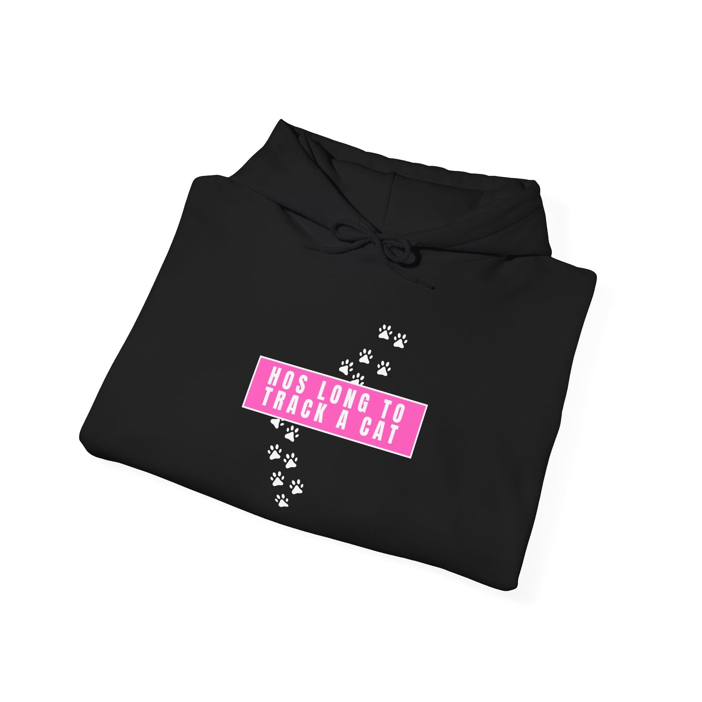 Free Karen Read "Hos Long to Track a Cat" Hooded Sweatshirt