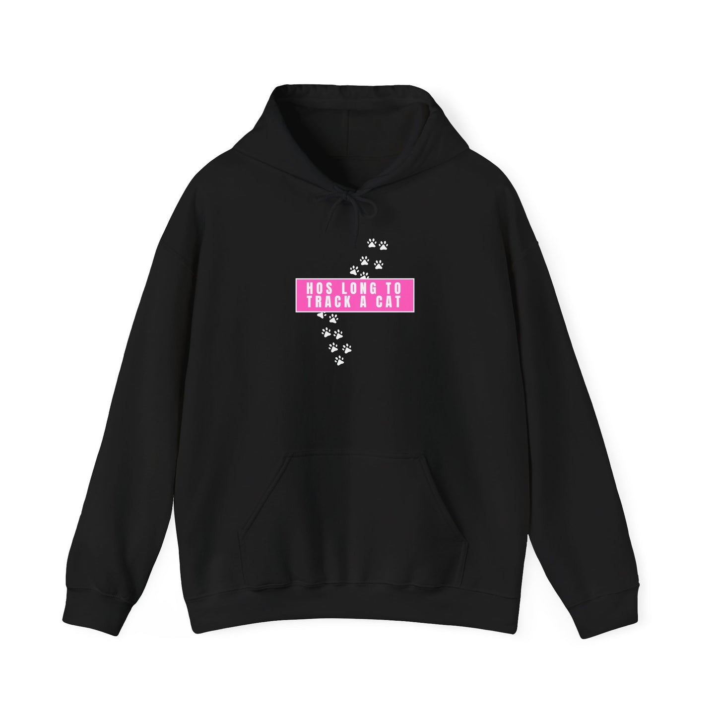 Free Karen Read "Hos Long to Track a Cat" Hooded Sweatshirt