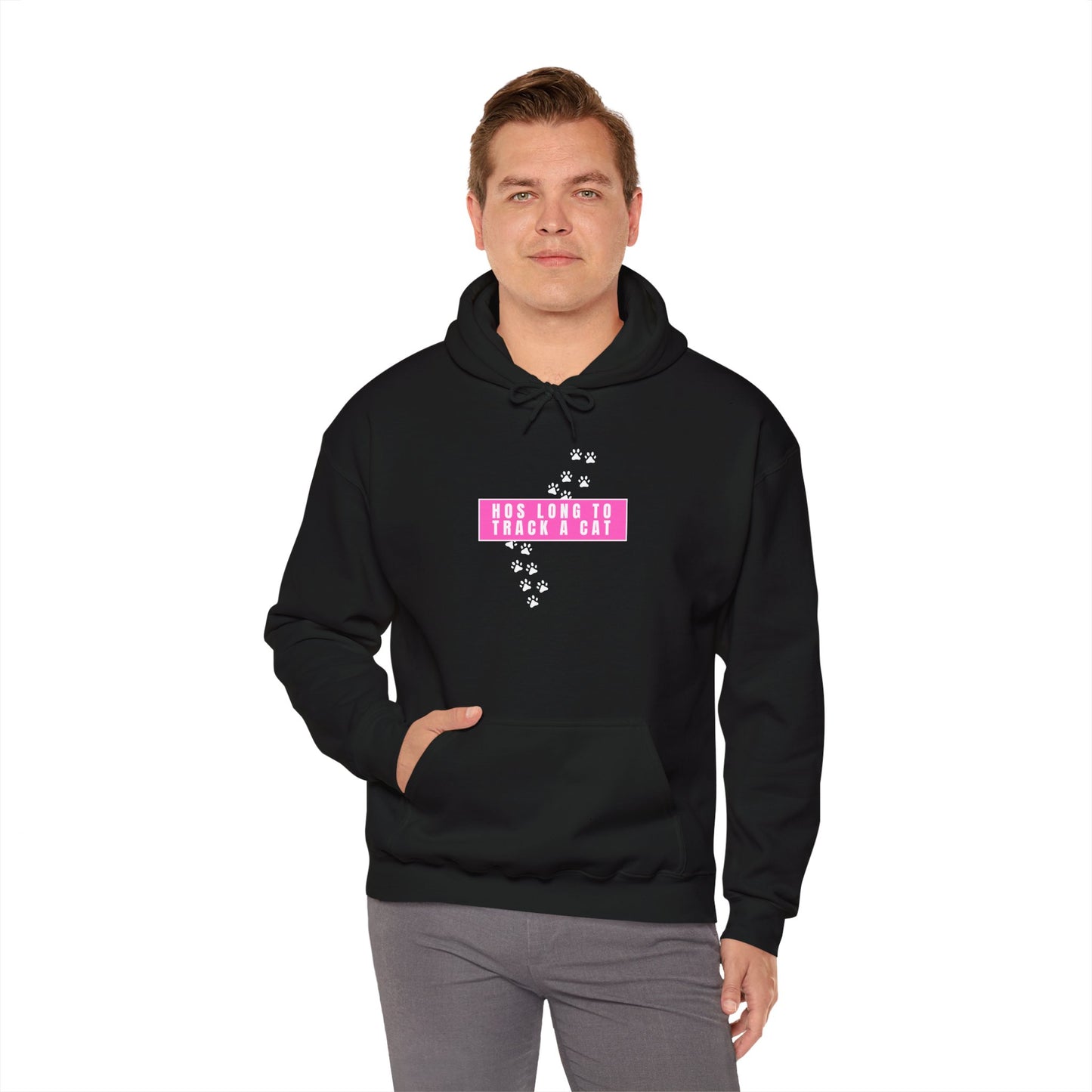 Free Karen Read "Hos Long to Track a Cat" Hooded Sweatshirt