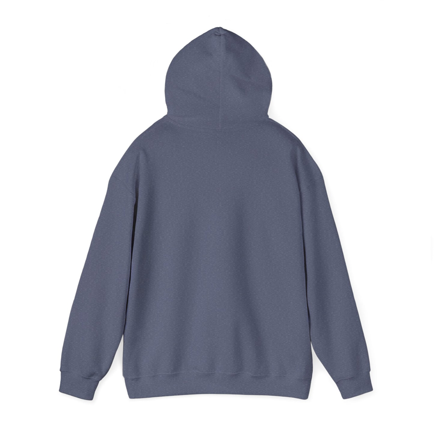 WRITE YOUR NEXT CHAPTER - Hooded Sweatshirt