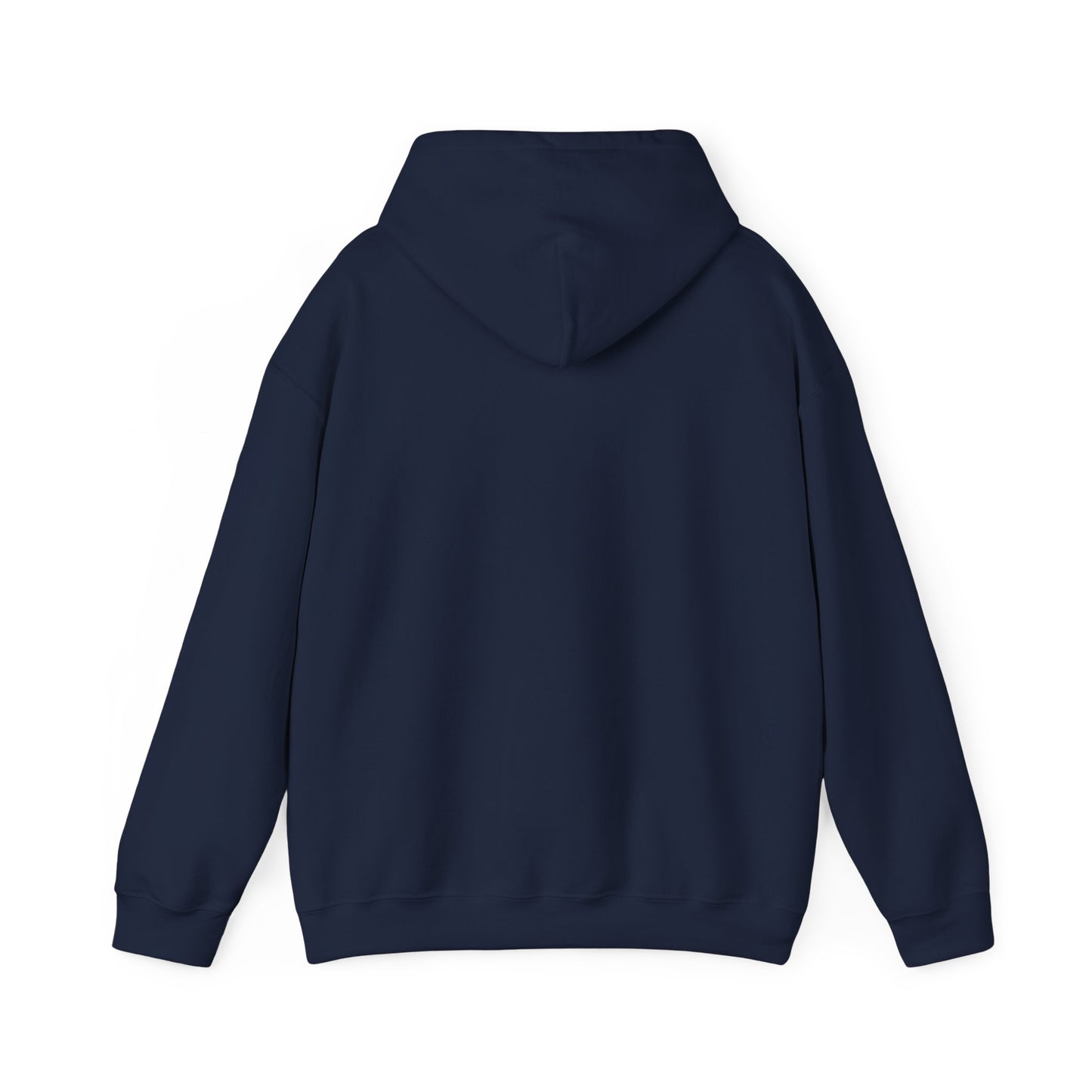 WRITE YOUR NEXT CHAPTER - Hooded Sweatshirt