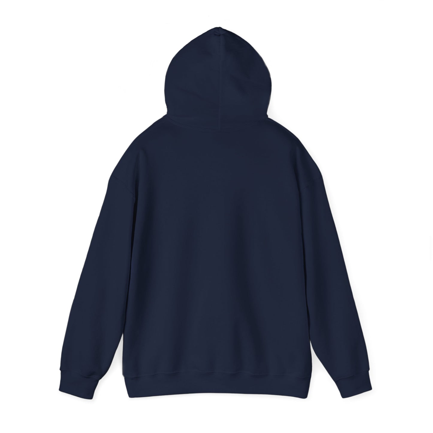 WRITE YOUR NEXT CHAPTER - Hooded Sweatshirt